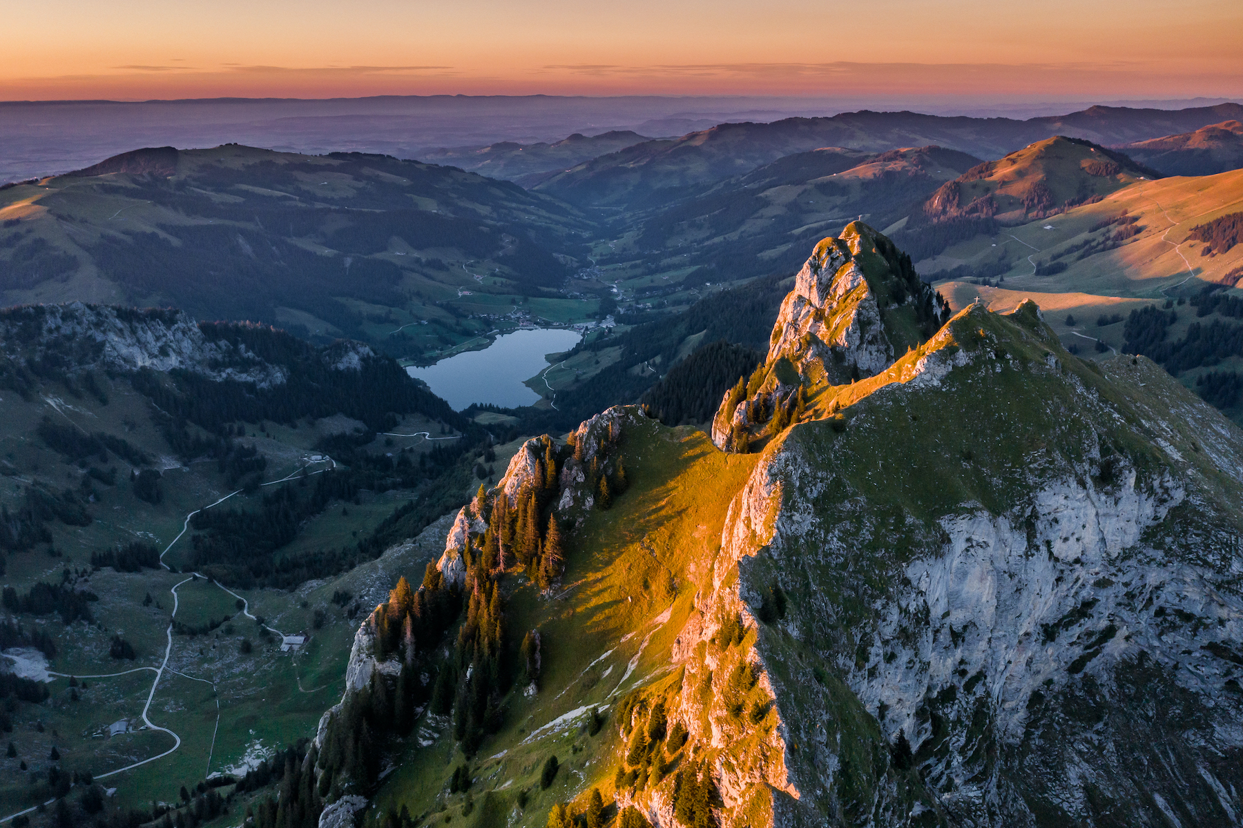 スペシャリスト認定